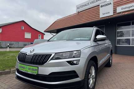 Skoda Karoq Gebrauchtwagen