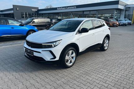 Opel Grandland (X) Gebrauchtwagen
