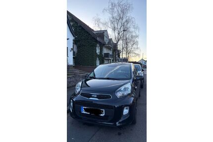 Kia Picanto Gebrauchtwagen