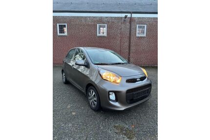 Kia Picanto Gebrauchtwagen