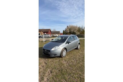Fiat Punto Gebrauchtwagen