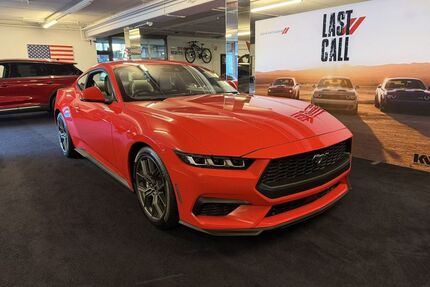 Ford Mustang Gebrauchtwagen