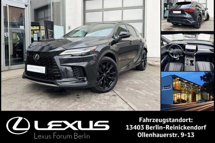 Lexus RX 500 Gebrauchtwagen