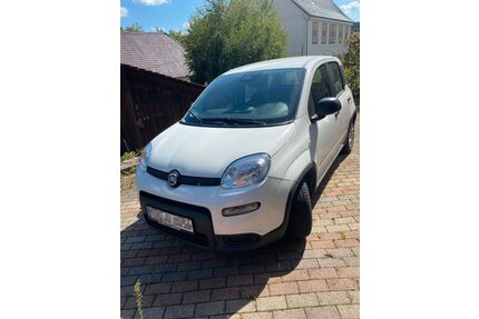 Fiat Panda Gebrauchtwagen
