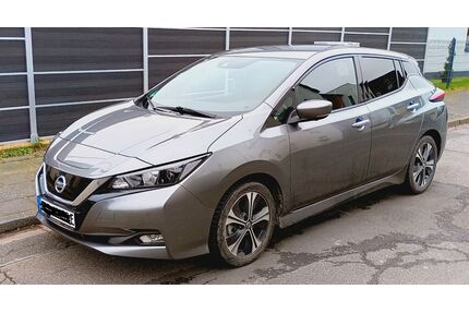 Nissan Leaf Gebrauchtwagen
