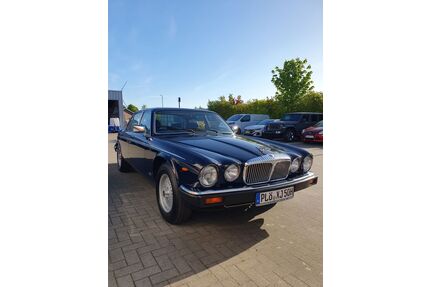 Jaguar Daimler Gebrauchtwagen