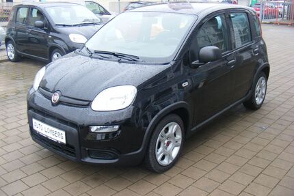 Fiat Panda Gebrauchtwagen