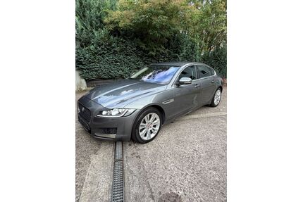 Jaguar XF Gebrauchtwagen