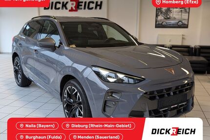 Cupra Terramar Gebrauchtwagen