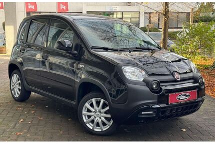 Fiat Panda Gebrauchtwagen