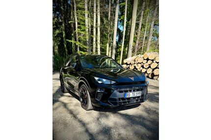 Cupra Terramar Gebrauchtwagen