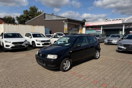 VW Polo Gebrauchtwagen