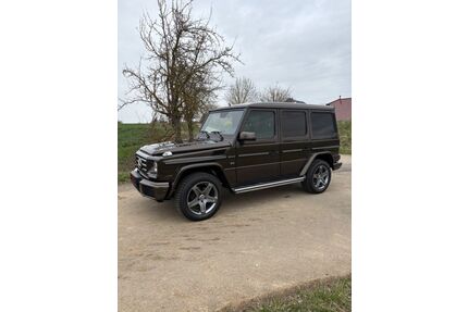 Mercedes-Benz G 500 Gebrauchtwagen