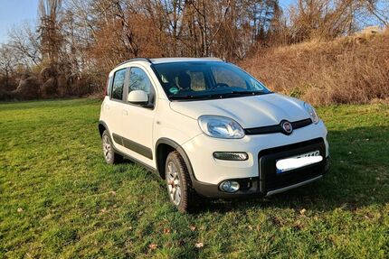 Fiat New Panda Gebrauchtwagen