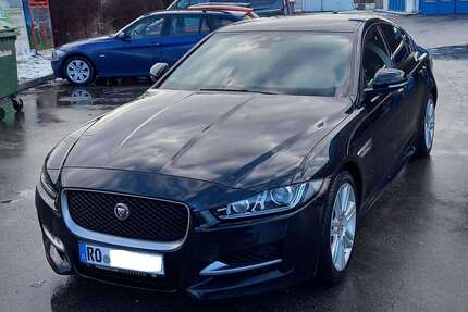 Jaguar XE Gebrauchtwagen