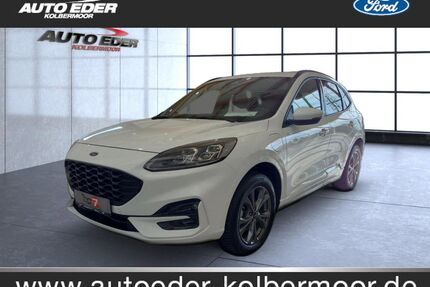 Ford Kuga Gebrauchtwagen