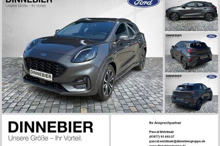 Ford Puma Gebrauchtwagen