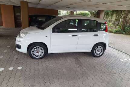Fiat New Panda Gebrauchtwagen