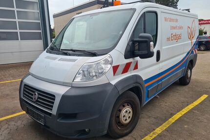 Fiat Ducato Gebrauchtwagen