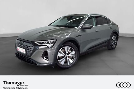 Audi Q8 e-tron Gebrauchtwagen