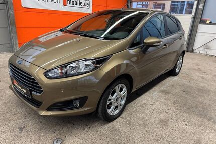 Ford Fiesta Gebrauchtwagen