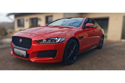 Jaguar XE Gebrauchtwagen
