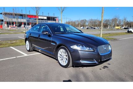 Jaguar XF Gebrauchtwagen