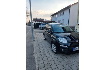 Fiat Grande Panda Gebrauchtwagen