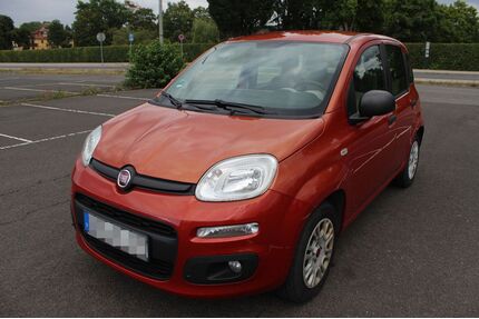 Fiat Panda Gebrauchtwagen