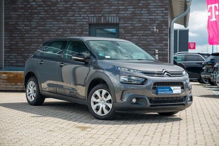 Citroen C4 Cactus Gebrauchtwagen