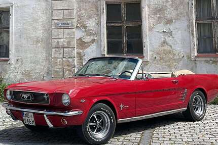 Ford Mustang Gebrauchtwagen