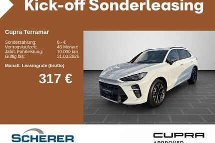 Cupra Terramar Gebrauchtwagen