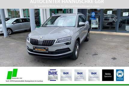 Skoda Karoq Gebrauchtwagen