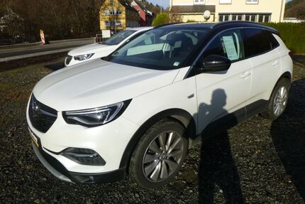 Opel Grandland (X) Gebrauchtwagen
