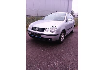 VW Polo Gebrauchtwagen