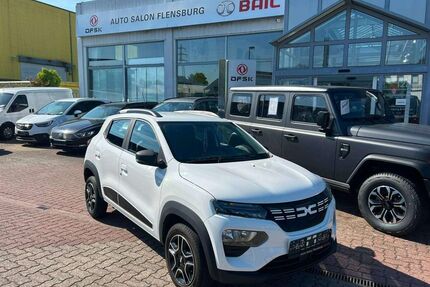 Dacia Spring Gebrauchtwagen