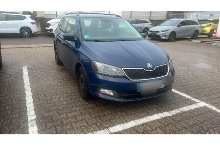 Skoda Fabia Gebrauchtwagen