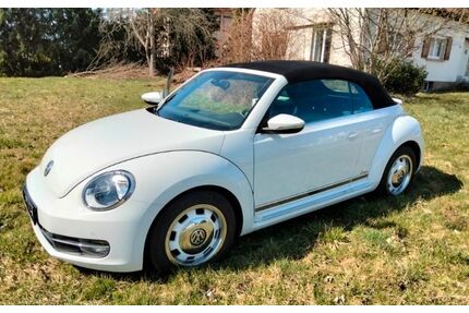 VW Beetle Gebrauchtwagen