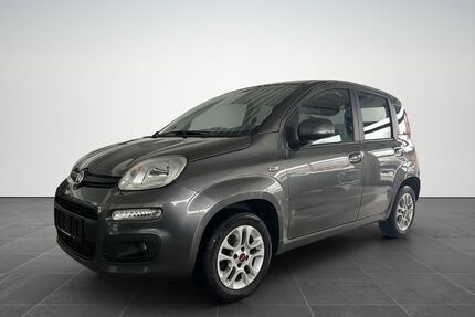 Fiat Panda Gebrauchtwagen
