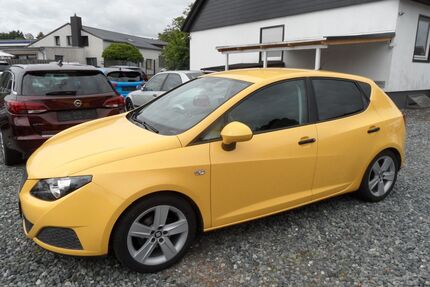 Seat Ibiza Gebrauchtwagen
