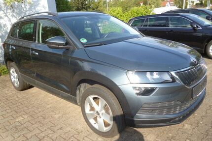 Skoda Karoq Gebrauchtwagen