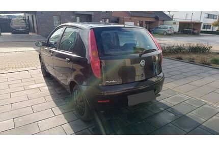 Fiat Punto Gebrauchtwagen