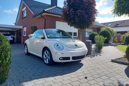 VW New Beetle Gebrauchtwagen