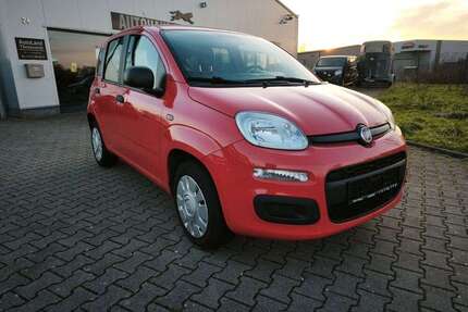 Fiat Panda Gebrauchtwagen