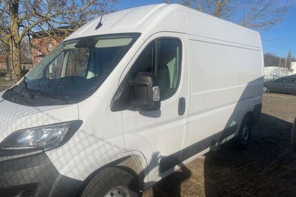 Fiat Ducato Gebrauchtwagen