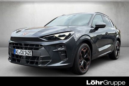 Cupra Terramar Gebrauchtwagen