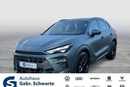 Cupra Terramar Gebrauchtwagen