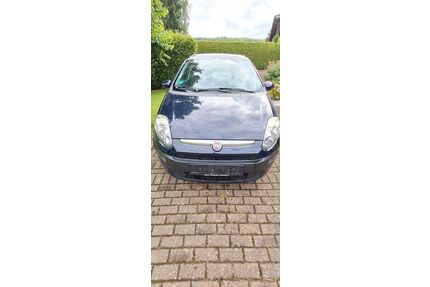 Fiat Punto Gebrauchtwagen