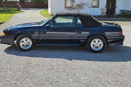 Ford Mustang Gebrauchtwagen