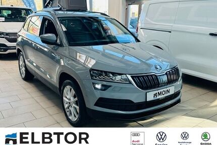 Skoda Karoq Gebrauchtwagen